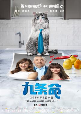 第二十次全国代表大会时间